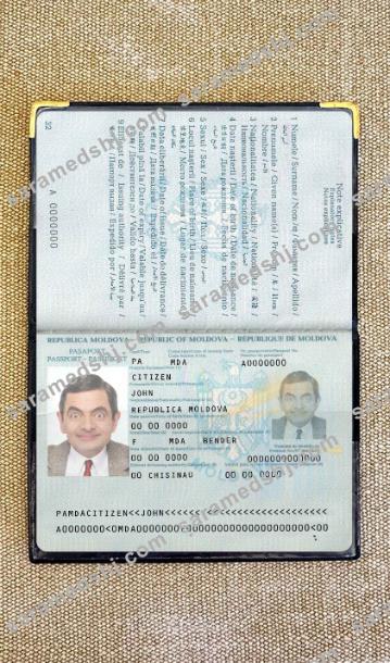 Moldova pass photo look